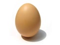 Whole egg