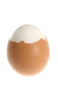 Egg