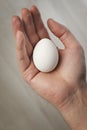Egg Royalty Free Stock Photo