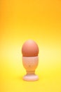 Egg. Royalty Free Stock Photo