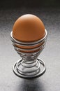 Egg Royalty Free Stock Photo