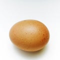 Egg