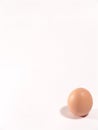 An egg Royalty Free Stock Photo