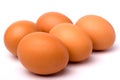 Egg Royalty Free Stock Photo