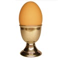 Egg Royalty Free Stock Photo