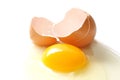 Egg Royalty Free Stock Photo