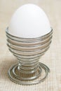 Egg. Royalty Free Stock Photo