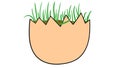 Egg as flowerpot with growing green sprouts, young life