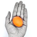 Egg as a symbol of new life and success. Egg in hand, isolate. Concept of a successful idea, success and prosperity Royalty Free Stock Photo