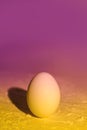 Egg on background of proton purple and yellow neon light. The cosmic universe. The concept of an Easter egg in a new reality Royalty Free Stock Photo