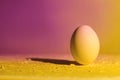 Egg on background of proton purple and yellow neon light. The cosmic universe. The concept of an Easter egg in a new reality Royalty Free Stock Photo