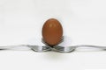 the balanced egg over the forks Royalty Free Stock Photo