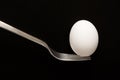 Egg Balanced on a Fork