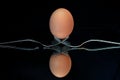 An egg balanced on two forks Royalty Free Stock Photo