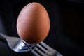 Egg balanced on two forks Royalty Free Stock Photo