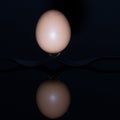 Egg balancing on tines of two forks