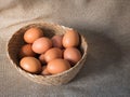 Egg in basket Royalty Free Stock Photo
