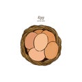 Egg in basket, Hand draw sketch vector.