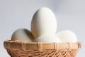 Egg in basket wicker on white background,Duck eggs Royalty Free Stock Photo