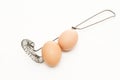 Egg-beater nad eggs Royalty Free Stock Photo