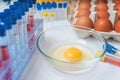 Egg is being tested for germs. Food quality control. Royalty Free Stock Photo