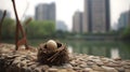 An egg in a bird nest at lake side with blurry cityscape with lake view, and vibrant city life