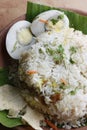 Egg Biryani - An Indian egg based rice dish Royalty Free Stock Photo