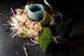 Egg in blue glazed shell in wood fiber nest decorated with green leaves