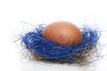 Egg in a blue nest