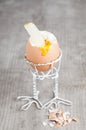 Egg Royalty Free Stock Photo