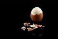 Egg, Boiled and Peeled Brown Egg standing isolated on black background