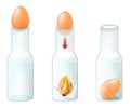 Egg in a bottle. Experiment