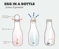 Egg in a bottle science experiment vector illustration