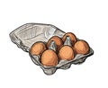 Egg Box with Chicken Eggs, Carton Pack or Egg Container