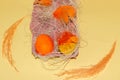 egg box with colorful eggs, decorative straw and orange feathers on a yellow background, easter design Royalty Free Stock Photo