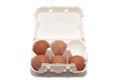 Egg-box with five eggs Royalty Free Stock Photo