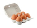 Egg box isolated with clipping path Royalty Free Stock Photo