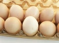 Egg in box Royalty Free Stock Photo