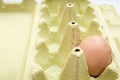 Egg box Royalty Free Stock Photo
