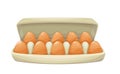 Egg box with ten brown chicken eggs Royalty Free Stock Photo