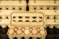 Egg box with ten organic chicken eggs inside Royalty Free Stock Photo