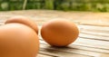 Egg for breakfast on old wooden table Royalty Free Stock Photo