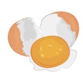 Egg brocken vector illustration