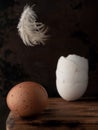 Egg and broken eggshell on wooden background. Feather flies over an egg. Close Up, Vertical orientation. Copy space Royalty Free Stock Photo