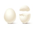 Egg and broken empty eggshell isolated on white background. Vector realistic design element. Royalty Free Stock Photo