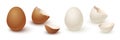 Egg and broken empty eggshell isolated on white background. Vector realistic white and brown eggs. Royalty Free Stock Photo