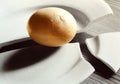 Egg on broken plate Royalty Free Stock Photo