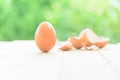 Egg with Broken Egg shell on wood plate Royalty Free Stock Photo