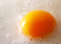 Egg broken on a white plate Royalty Free Stock Photo