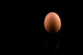 Egg, Brown Egg Standing Vertically isolated on black background, copy space Royalty Free Stock Photo